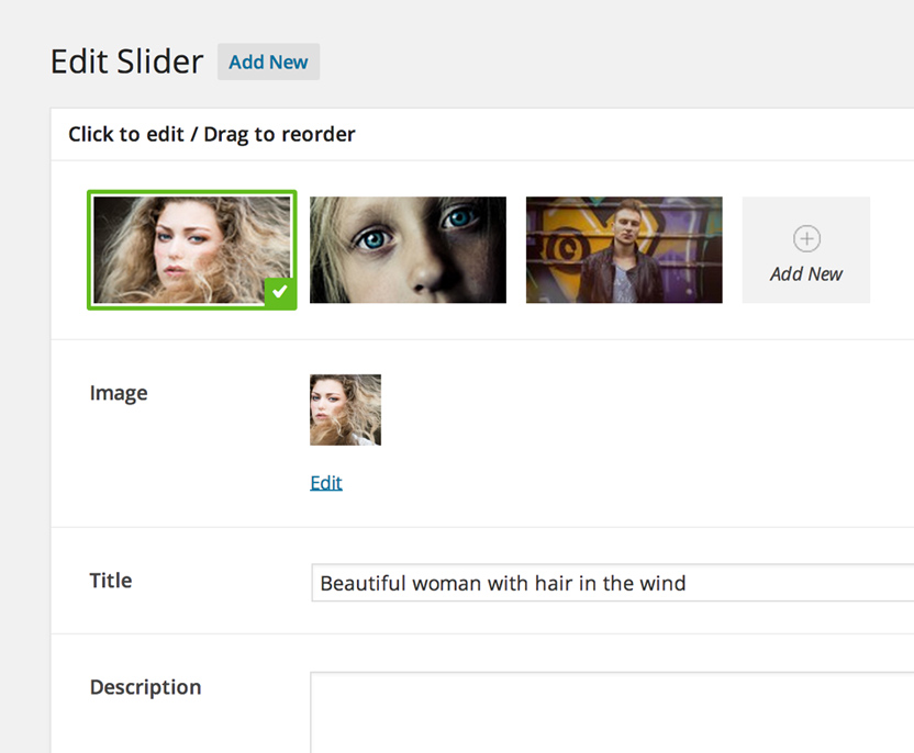 unyson-framework-sliders