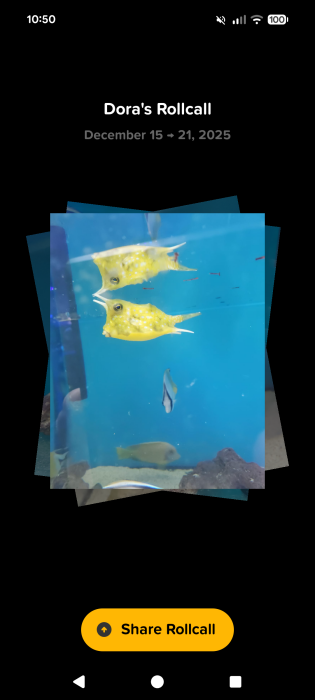 Sharing rollcall via Locket app on Android.