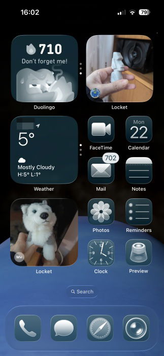 Two Locket widgets displaying content from different friends on iPhone. 