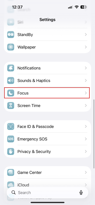 Tapping on "Focus" in iPhone Settings.