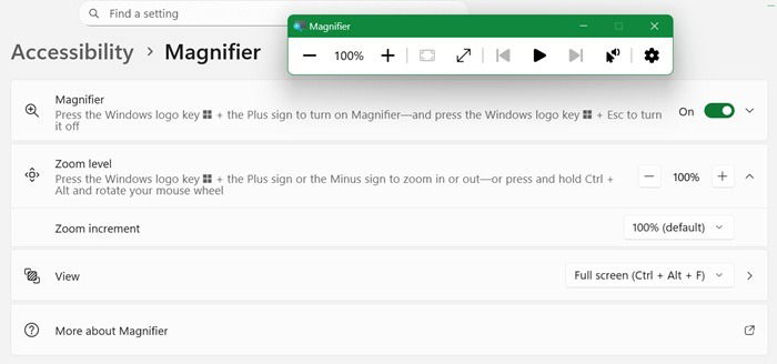 Enabling the "Magnifier" feature in Windows 11 Accessibility.