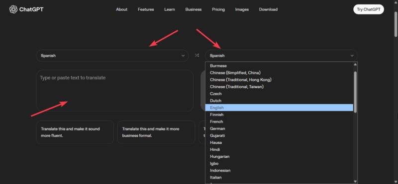 Chatgpt Frame With Language Selections