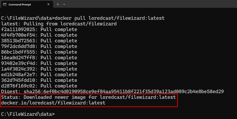 Pull Official Docker Image