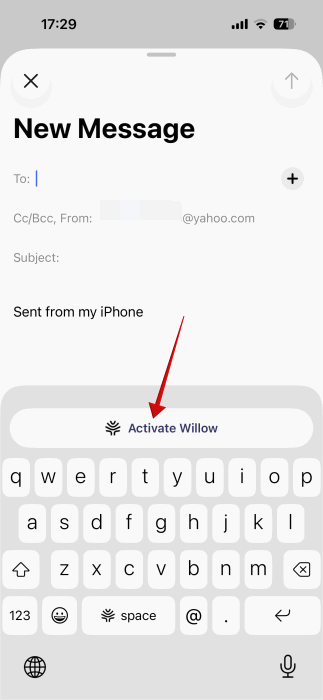 Activating Willow directly from the keyboard on iPhone. 