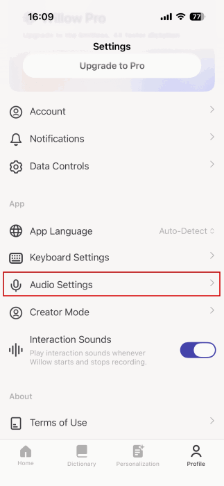 Accessing "Audio Settings" in Willow app on iPhone.